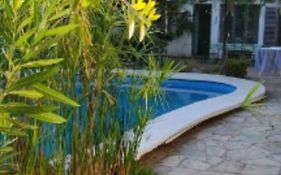 Suite con piscina y parque